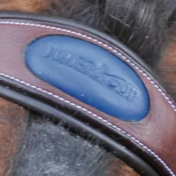 Flags & Cup - Bridon combiné Paris avec rênes marron/ bleu