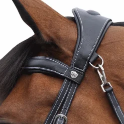 Flags & Cup - Bridon Comfort combiné avec rênes noir