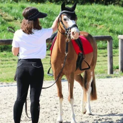 Flags & Cup - Bridon Comfort combiné avec rênes noir