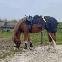 Flags & Cup - Bridon Comfort combiné avec rênes havane