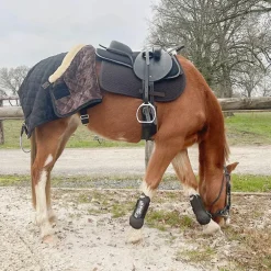 Flags & Cup - Bridon Comfort combiné avec rênes havane