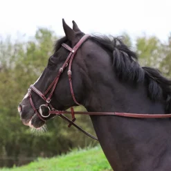 Flags & Cup - Bridon Helsinki avec rênes marron