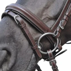 Flags & Cup - Bridon Hickstead avec rênes marron