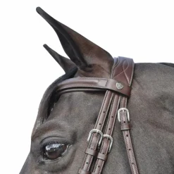 Flags & Cup - Bridon Hickstead avec rênes marron