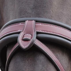 Flags & Cup - Bridon Madrid marron