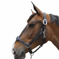 Flags & Cup - Licol cheval Cuir Paris noir/marine