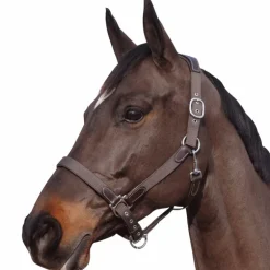 Flags & Cup - Licol nylon et cuir marron