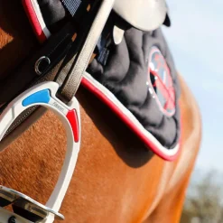 Flex On - Stickers Flex On Pays France