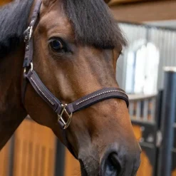 Harcour - Ensemble licol et longe Amour cacao