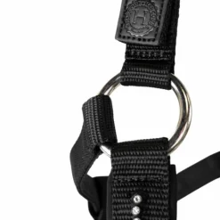 Harcour - Ensemble licol et longe Amour noir