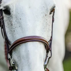 Horseware - Bridon Cavesson Hunter Pony avec rênes dark tan