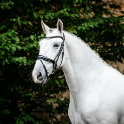 Horseware - Bridon Dressage Flash noir