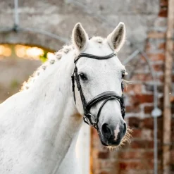 Horseware - Bridon Dressage Pony Flash noir