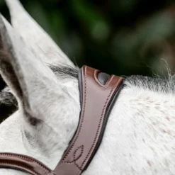 Horseware - Bridon Dressage Flash marron