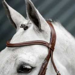 Horseware - Bridon Dressage Flash marron