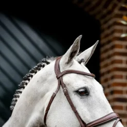 Horseware - Bridon Dressage Flash marron