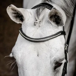 Horseware - Bridon Micklem Diamante Competition noir