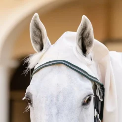 Horseware - Couverture anti-mouches Rambo Hoody XL chalk/ hunter green/ argent