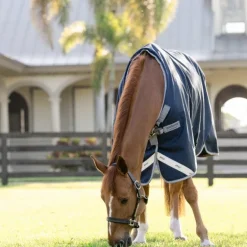 Horseware - Couverture d'extérieur Amigo Turnout marine/ titanium grey/ argent 0g