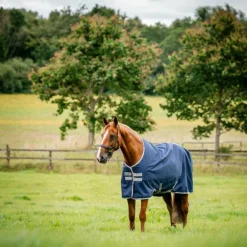 Horseware - Couverture d'extérieur Amigo Ripstop 900 Original marine/ titanium grey 50g