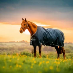 Horseware - Couverture d'extérieur Amigo Ripstop Pony Turnout witney navy 0g