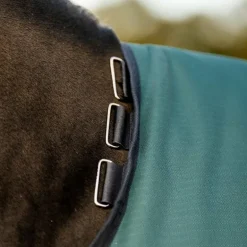 Horseware - Couverture d'extérieur Amigo Ripstop Turnout dynasty green/ marine/ argent 0g