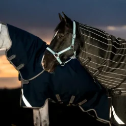 Horseware - Couverture d'extérieur Amigo FieldSafe Plus Turnout marine/ titanium grey/ argent 100g