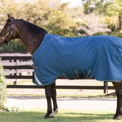 Horseware - Couverture d'extérieur Rhino Turnout marine/ gris/ aqua 100g