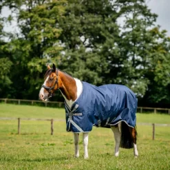 Horseware - Couverture d'extérieur Amigo Bravo XL Turnout marine/ titanium grey/ argent 50g