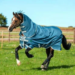 Horseware - Couverture d'extérieur Amigo Ameco bleu/ gris 100g