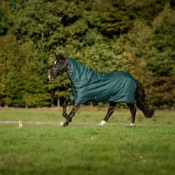 Horseware - Couverture d'extérieur Amigo Ripstop Plus Turnout dynasty green/ marine/ argent 100g