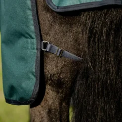 Horseware - Couverture d'extérieur Amigo Ripstop Plus Turnout dynasty green/ marine/ argent 100g