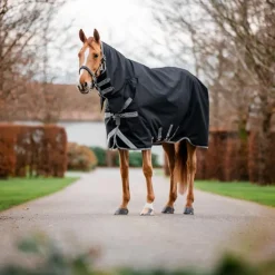 Horseware - Couverture d'extérieur Amigo Bravo Integrated Turnout noir/ titanium grey/ argent 0g