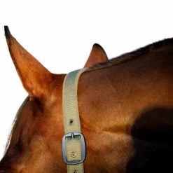 Horseware - Licol et longe Amigo bramble