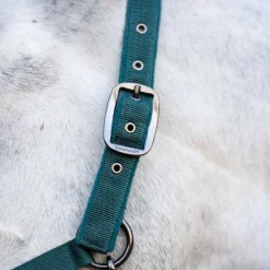 Horseware - Licol et longe dynasty green