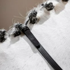 Horseware - Rênes Curb marron
