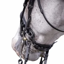 Jump'In - Bride vernie avec rênes