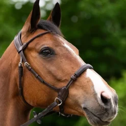 Jump'In - Bridon bitless Evolution havane