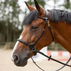 Jump'In - Bridon bitless Evolution noir