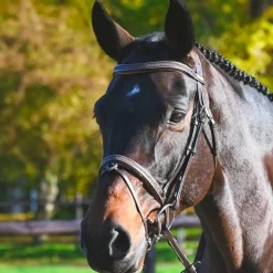 Jump'In - Bridon Carat collection One premium havane