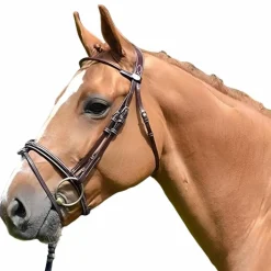 Jump'In - Bridon Monday muserolle croisée collection Week acajou