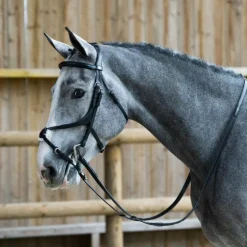 Jump'In - Bridon muserolle croisée Evolution noir