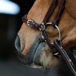 Jump'In - Bridon muserolle allemande Evolution noisette