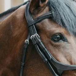 Jump'In - Bridon muserolle croisée Evolution noisette