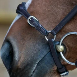 Jump'In - Bridon muserolle allemande Evolution havane