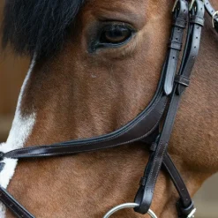 Jump'In - Bridon muserolle croisée Evolution havane