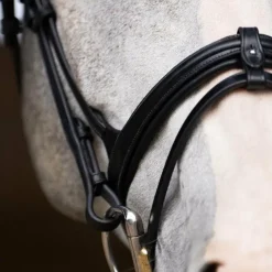 Jump'In - Bridon muserolle combinée Evolution noir
