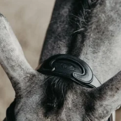 Jump'In - Bridon muserolle combinée Evolution noir