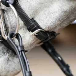 Jump'In - Bridon muserolle combinée Evolution noir