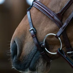 Jump'In - Bridon muserolle combinée Evolution noisette